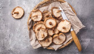 shiitake champignon plante alimentation