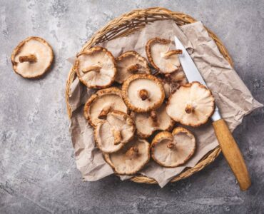 shiitake champignon plante alimentation
