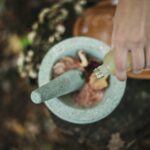 Pourquoi intégrer les bienfaits de l&rsquo;ashwagandha pour votre routine de bien-être