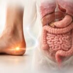 Combien de temps pour reconstituer la flore intestinale : étapes pour un rétablissement optimal