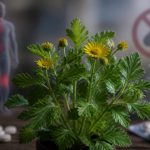 Les avis sur le danger du Thermoxyl dévoilent des vérités inquiétantes